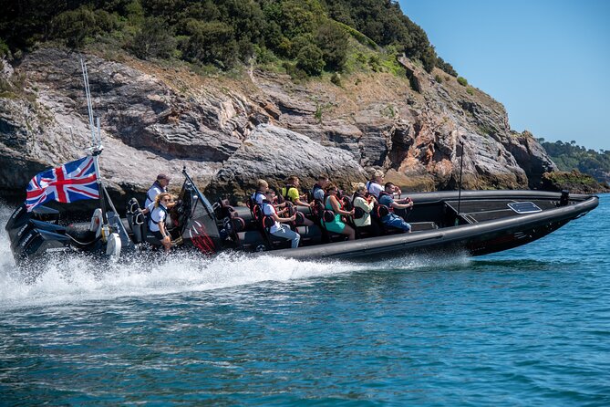 30-Minute Raptor RIB Ride Activity in Torquay - Wildlife and commentary between the fast runs