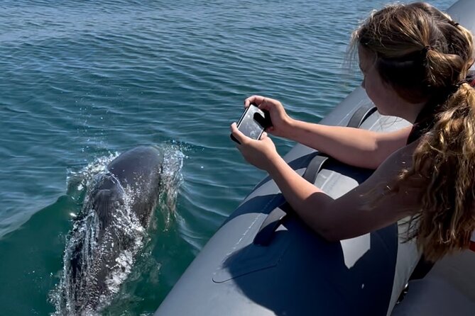 90 Minute Coastal Explorer in Torquay - Setting off from Torquay Marina at 2:30 pm