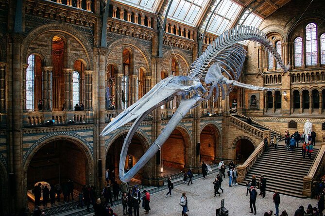 A Day at the Museum - Natural History Museum London - Key things to know before you book