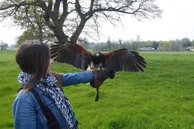 Bath City Tour & Fly a Hawk Experience - Day Tour from Bath - What to expect at the falconry center
