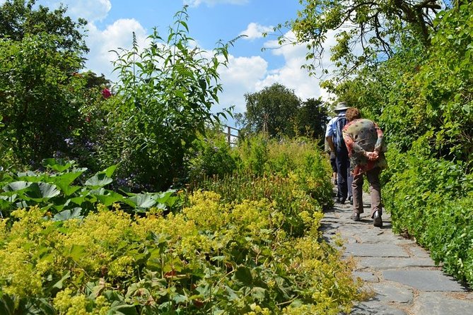 Beatrix Potter's Tour from Oxenholme Including Lake Cruise - Cruising Lake Windermere for a change of view