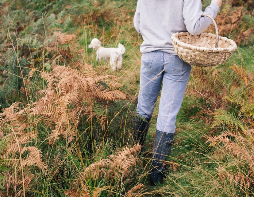 Beginner Foraging Walk: Wild food walking tour & tasters - Why This Short Foraging Walk Works for Beginners