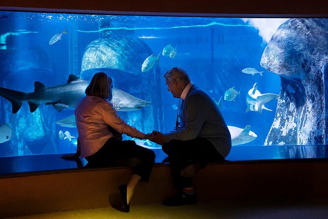 Combo Ticket: Madame Tussauds & SEA LIFE London Aquarium - Two very different London attractions in one ticket