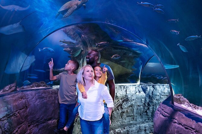 Combo Ticket: Madame Tussauds & SEA LIFE London Aquarium - Why the mobile combo can be good value