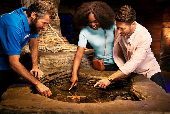 Combo Ticket: Madame Tussauds & SEA LIFE London Aquarium - Who will enjoy this combination most