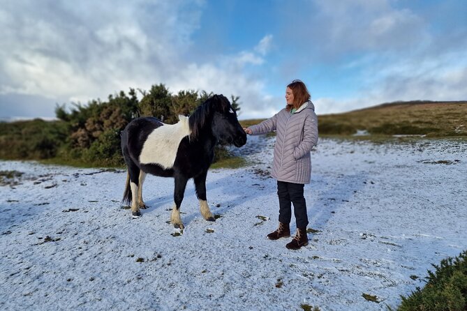 Dartmoor Tour - Key points at a glance