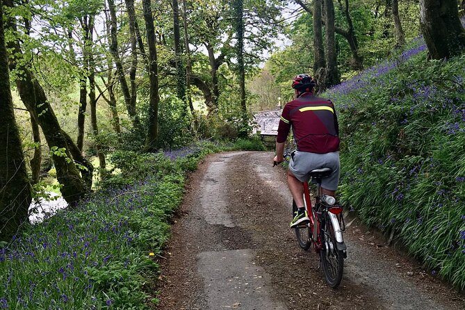 Explore North Cornwall on Electric Bikes - Starting at Woolley near Bude
