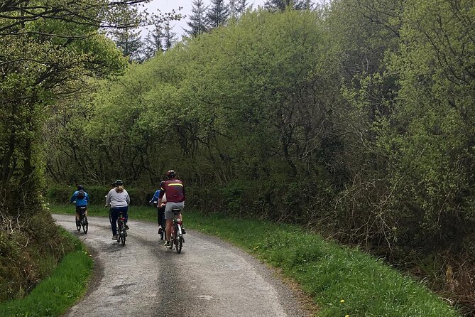 Explore North Cornwall on Electric Bikes - A refreshment stop, if you want one