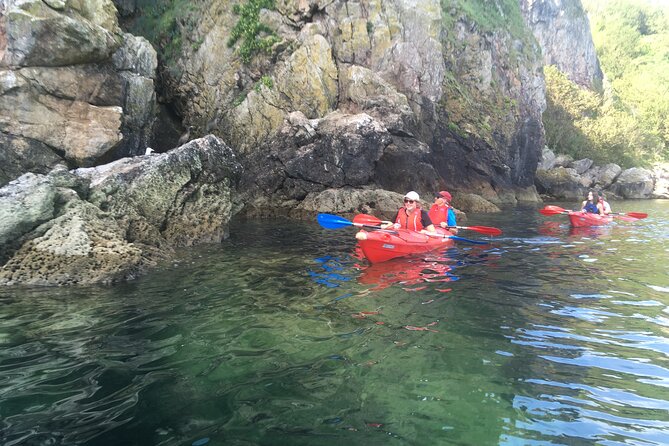 Guided Wildlife and Sea Cave Kayak Safari in English Riviera - Fossils, wild food, and marshmallows on the beach
