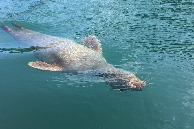 Guided Wildlife and Sea Cave Kayak Safari in English Riviera - Getting comfortable in a tandem sea kayak