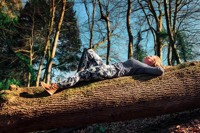 Half-day Forest Bathing and Yoga in Brighton's Woodlands - Key points to know before booking