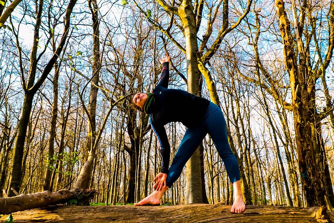 Half-day Forest Bathing and Yoga in Brighton's Woodlands - Entering Stanmer Park’s quieter woods