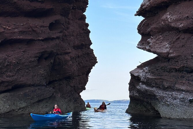 Half Day Sea kayak Guided Tour - Price, group size, and booking value