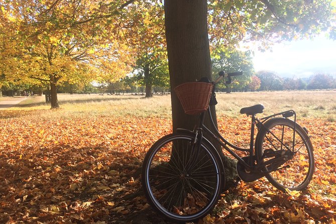 Hampton Court Palace Grounds Bike Tour - From Long Water to the River Thames
