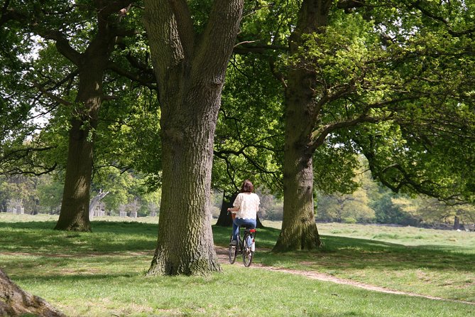Hampton Court Palace Grounds Bike Tour - What the guide adds to the experience
