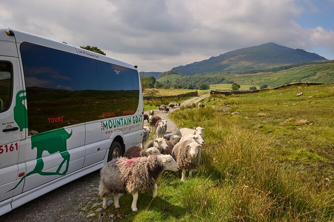 High Adventure: Mountain Passes & Muncaster Castle from Oxenholme - Why the high passes are the real adventure