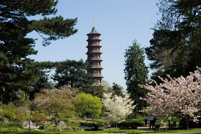 Kew Gardens Entrance Ticket - Getting inside and finding your rhythm