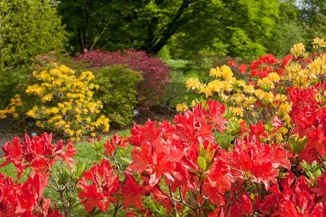 Kew Gardens Entrance Ticket - Free guided walks or your own route