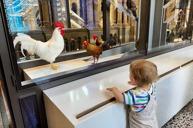 Kid-Friendly Natural History Museum & Dinosaurs Private Guided Tour in London - Who should book this London dinosaur tour
