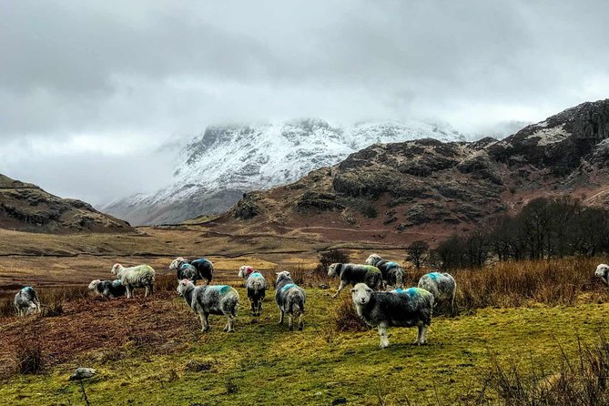 Lake District Adventure Sightseeing Day Trip from Liverpool - The day at a glance