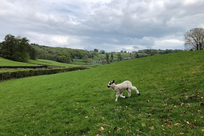 Lake District from Liverpool including Lake Cruise - Food, timing, and the real pace of the day