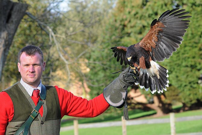 Leeds Castle Admission - Ultimate Explorer Tickets - The gardens, ponds, and open grounds
