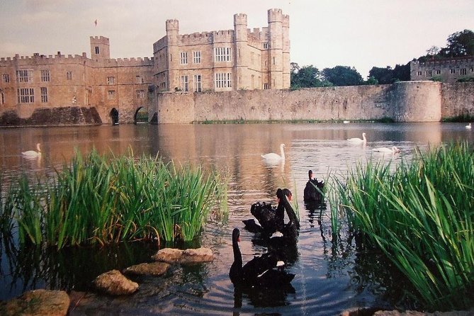 Leeds Castle, Canterbury and White Cliffs of Dover - Driver Guide - Who should book this experience?