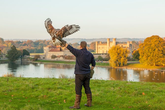 Leeds Castle, Canterbury, Dover & Greenwich Cruise from London - Dover and the White Cliffs in 20 minutes
