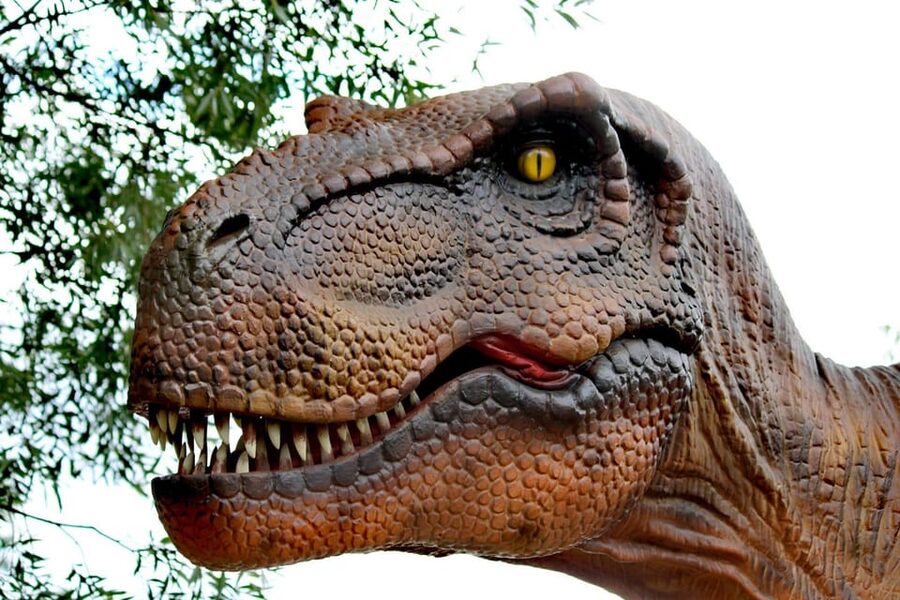 Lincolnshire: ARK Wildlife and Dinosaur Park Entry Ticket - What costs extra