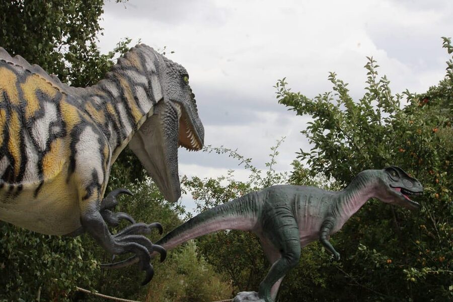 Lincolnshire: ARK Wildlife and Dinosaur Park Entry Ticket - Timing, access, and booking advice