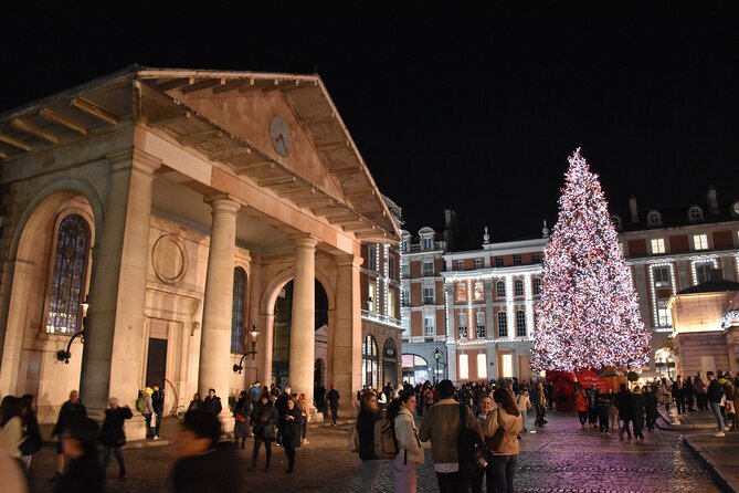 London Christmas Lights Private Walking Tour - Trafalgar Square and the Norwegian Christmas tree