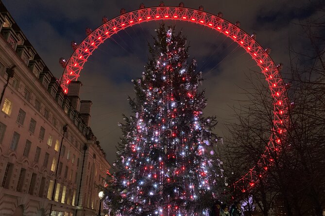 London Exclusive Christmas Lights Guided Tour by Black Cab - Buckingham Palace from the cab