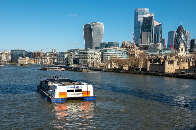 London: Harry Potter Walk, Hop-on Hop-off Bus Tour and Cruise - Using the app and planning the day