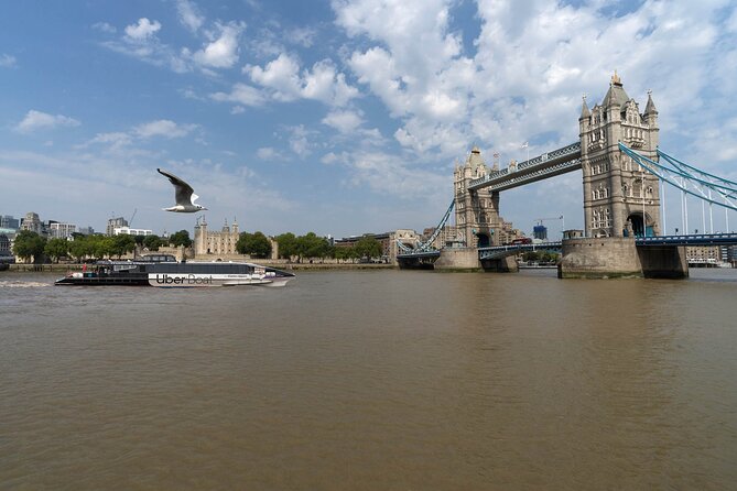 London: IFS Cable Car + Uber Boat One Way River Thames Cruise - Who will enjoy this experience most?