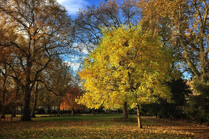 London Literary Private Walking Tour Of Bloomsbury - Bedford Square and the Pre-Raphaelites