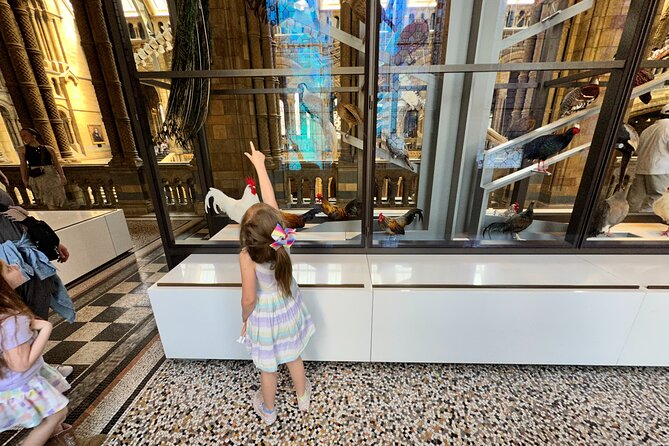London Natural History Museum with Dinosaurs Gallery Private Tour for Kids - The Blue Whale, Sequoia, and Stuffed Birds