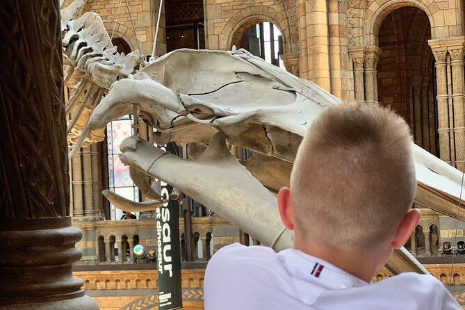 London Natural History Museum with Dinosaurs Gallery Private Tour for Kids - Who Should Book This Private Museum Visit?