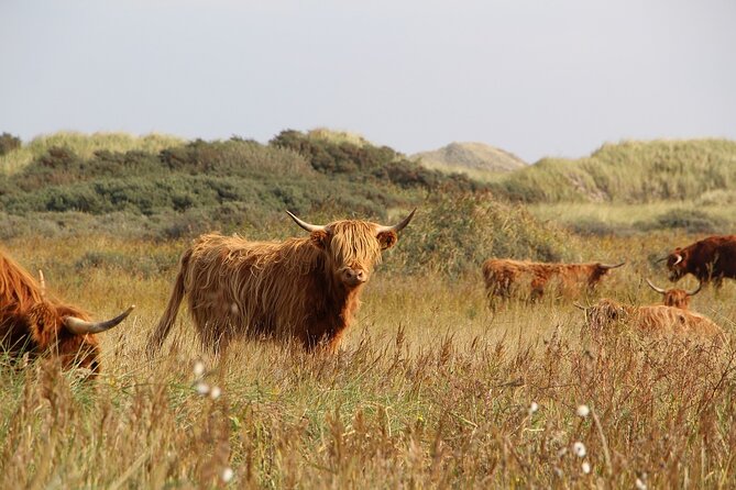 Multi-Day Tour from Brighton to Edinburgh & York including Scottish Highlands - Leaving Brighton on the 8:50 pm coach