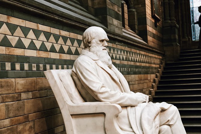 Natural History Museum London - Exclusive Guided Museum Tour - Rare plants, preserved animals, and the giant sequoia