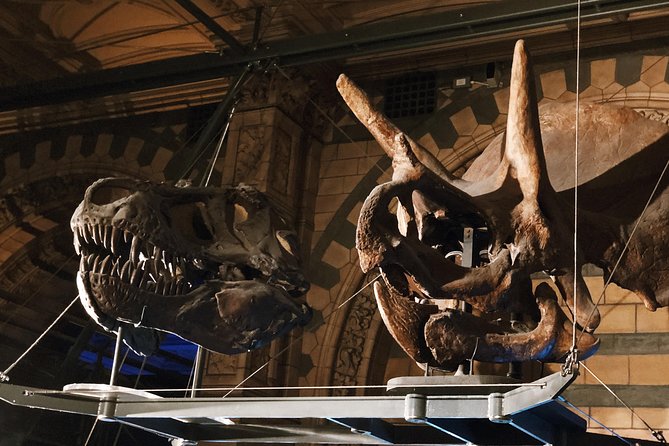 Natural History Museum London - Exclusive Guided Museum Tour - Pompeii casts, skulls, and the stranger side of natural history