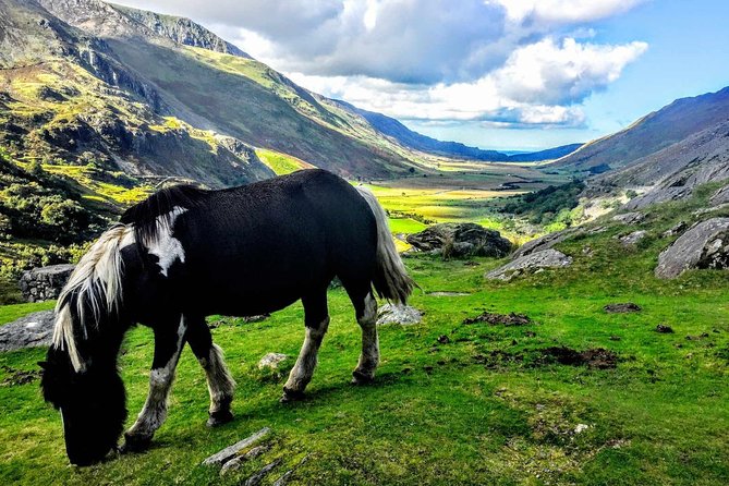 North Wales Adventure Sightseeing Day Trip from Liverpool - Conwy, castle walls, and lunch