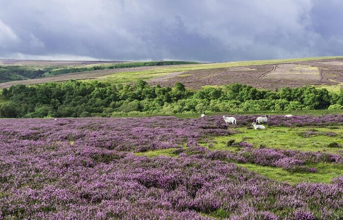 North York Moors and Whitby Day Tour from York - Helmsley gives you a taste of village life