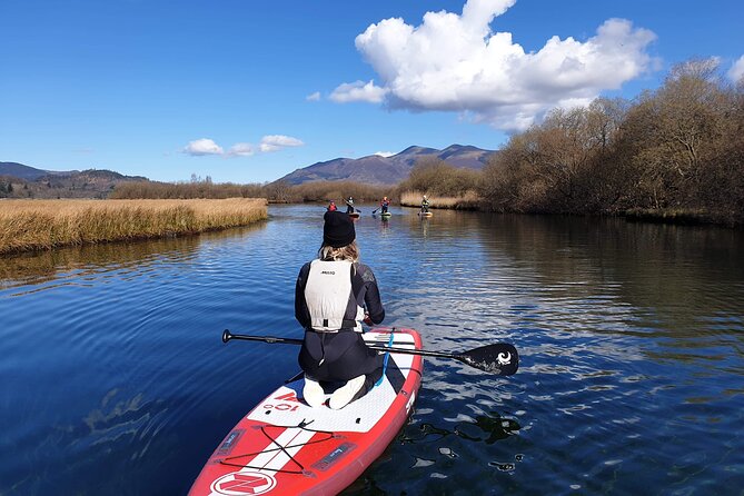 Paddle Boarding on Derwent Water - Views, wildlife, and the local ecosystem