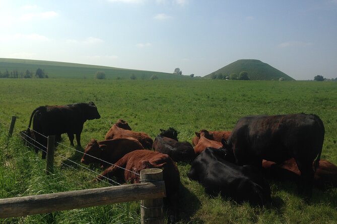 Private Archaeologist Guided Tour Stonehenge, Salisbury & Avebury - Avebury Stone Circle and the Red Lion pub