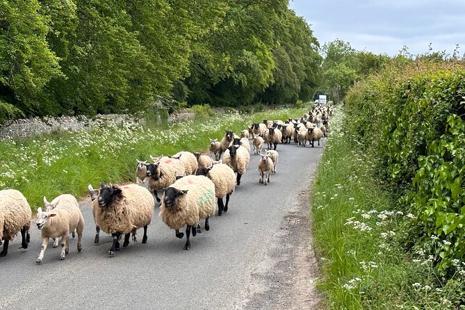 Private Day Tour from Bath to the Captivating Cotswolds - The quieter villages and the country pub lunch