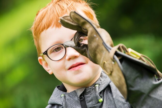 Private Family Bird of Prey Experience in Carlisle - The birds you are likely to remember