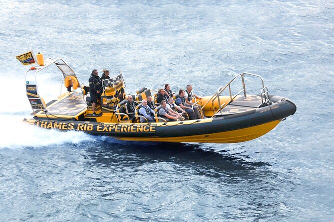 PRIVATE HIRE 45 min Speedboat Tour - Embankment/Westminster Pier - From Westminster and Embankment into the river