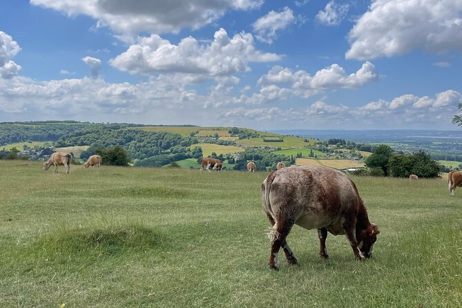 Private tour of the stunning Cotswolds with an expert local guide - How flexible is the route?