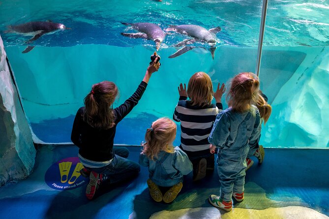 SEA LIFE Birmingham Admission Ticket - Location and Practical Planning