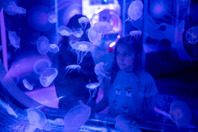 SEA LIFE Birmingham Admission Ticket - Should You Book the SEA LIFE Birmingham Ticket?